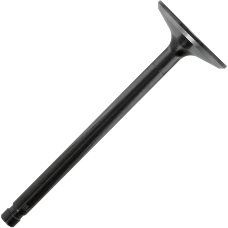 Nitrided Exhaust Valve Standard