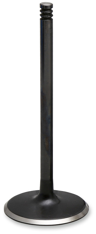 Nitrided Intake Valve Standard