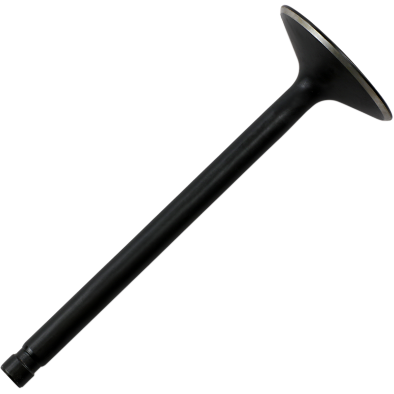 Nitrided Intake Valve Standard