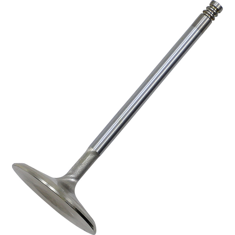 White Diamond EV8 Intake Valve +2mm