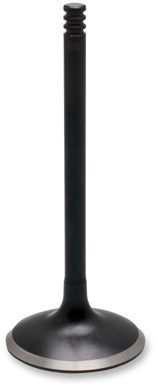 Fat Stem Black Diamond Valve - Intake