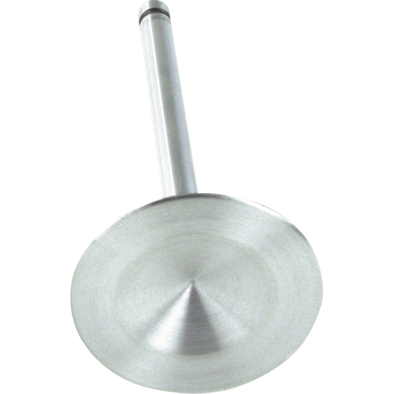 Stainless Steel Intake Valve