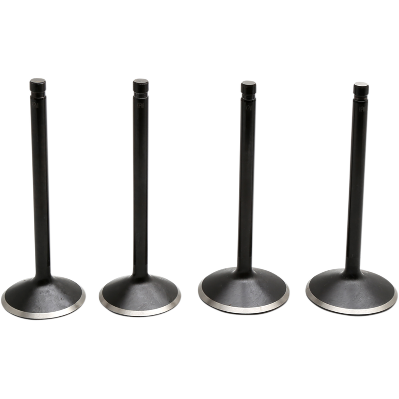 Black Diamond Valve Kit for Twin Cam