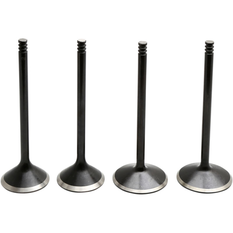 Black Diamond Valve Kit for Twin Cam