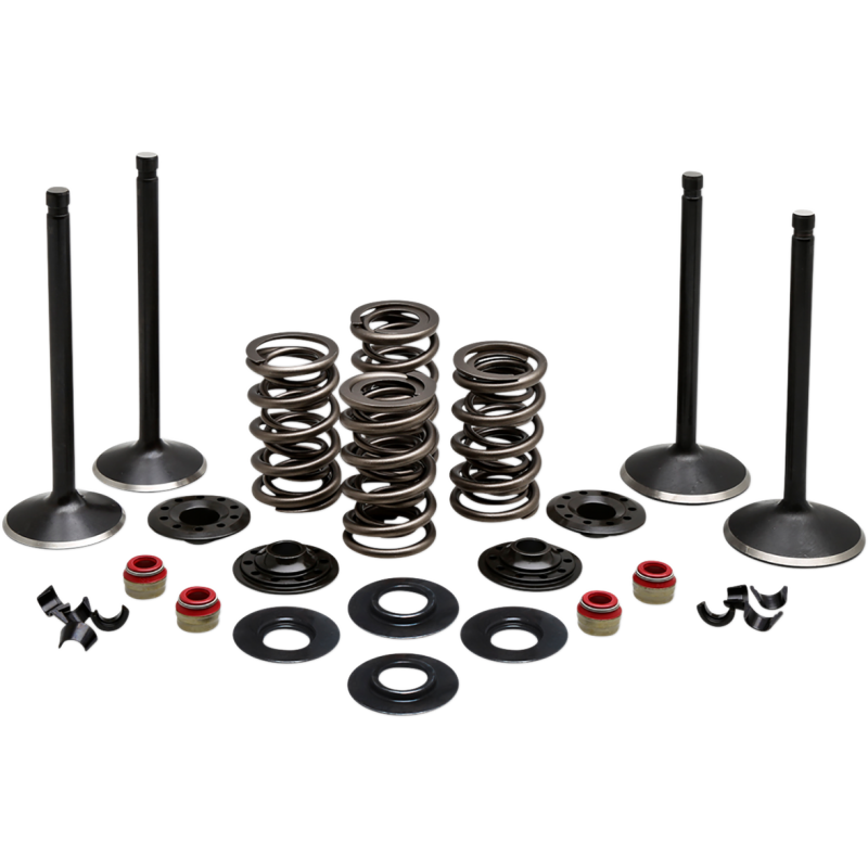 Black Diamond Engine Valve Kit for Twin Cam