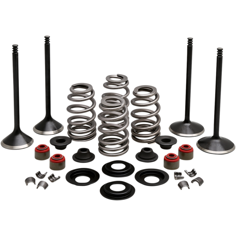 Black Diamond Engine Valve Kit for Twin Cam