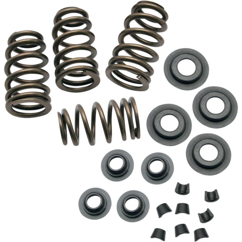 S&S Cycle Sidewinder 0.650" Valve Spring Kit