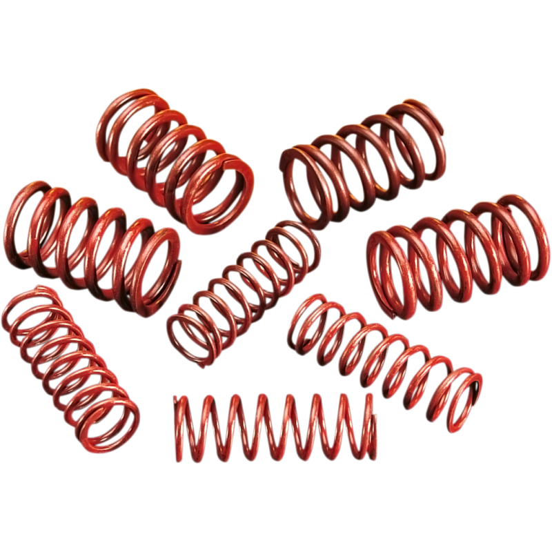 Andrews High-Lift Valve Spring Kit