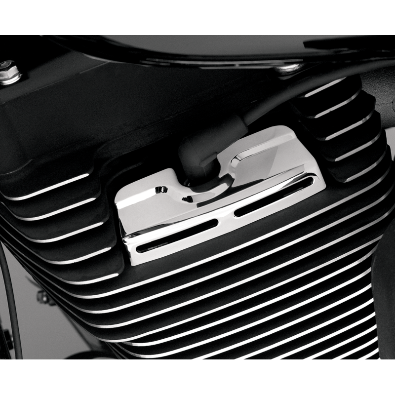 Scorpions Headbolt Covers, Twin Cam