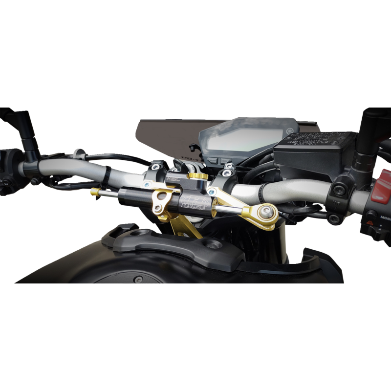 Steering Damper Mount Kit for Yamaha MT-09 13-20