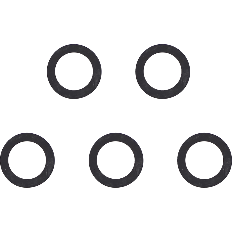 Fuel Valve Seal 02-06 Twin Cam