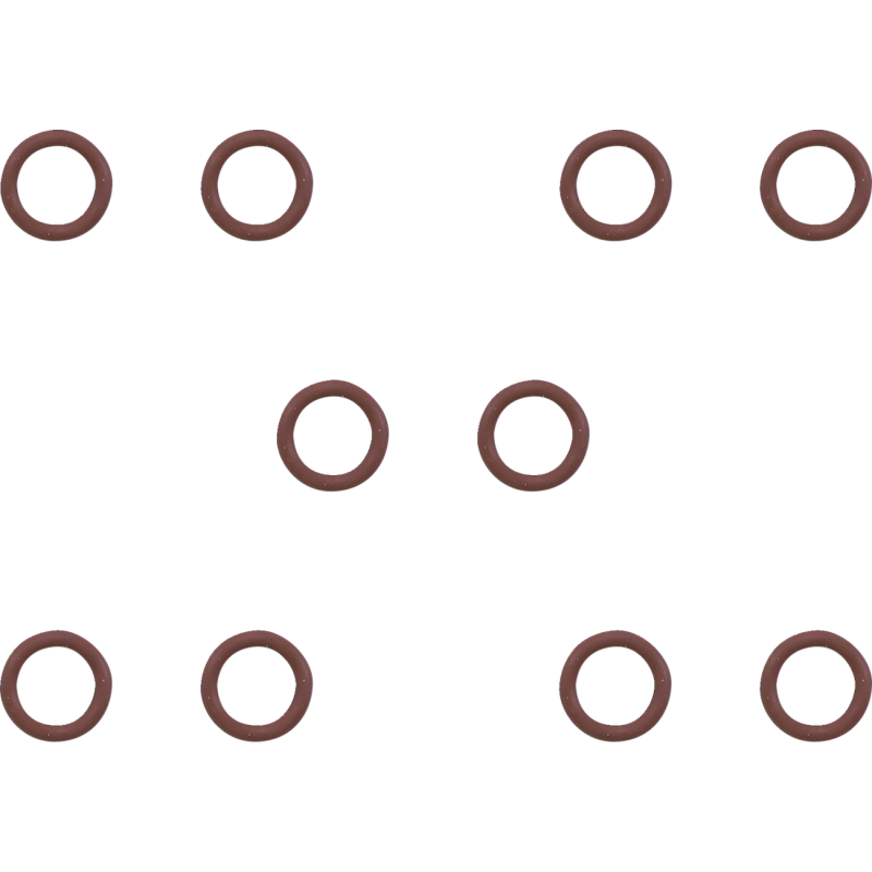 Primary Drain Plug O-Ring (Viton)