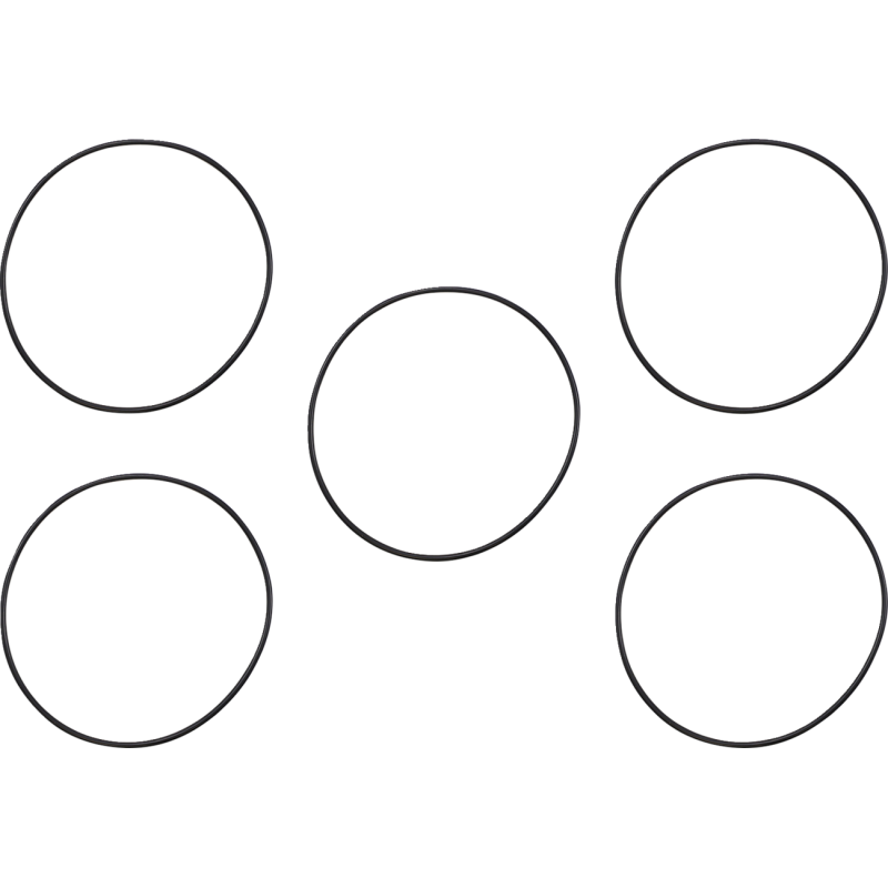 Derby Cover Seal 99-06 (except 06 Dyna)