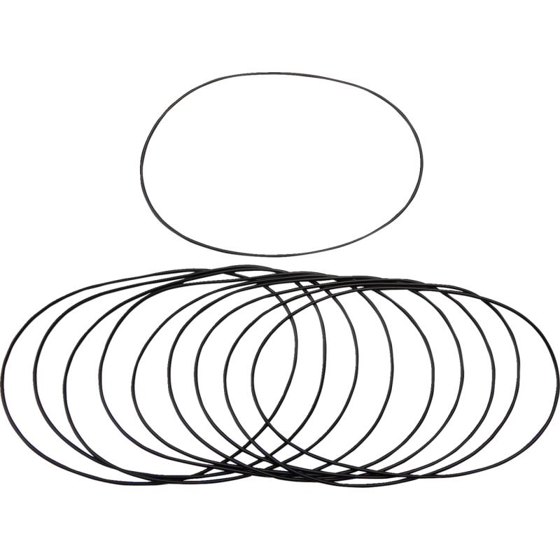 Alternator/Chain Housing O-Ring 99-06