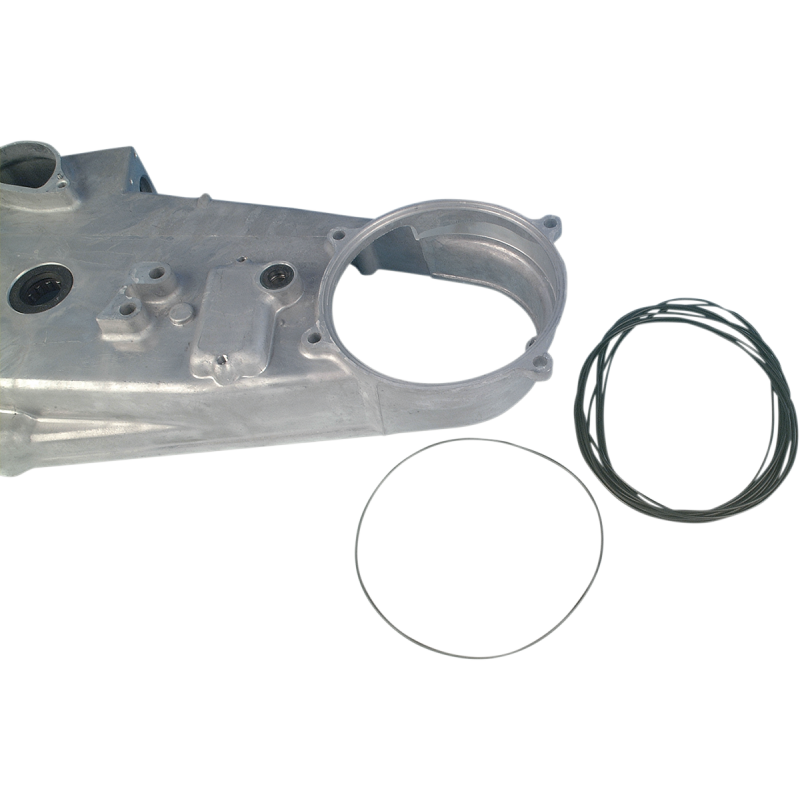 Alternator/Chain Housing O-Ring 99-06