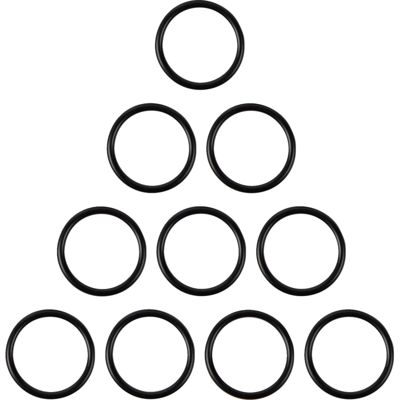 Engine Oil Dipstick O-Ring 04-22 XL