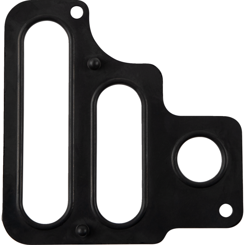 Transmission Interface Gasket 07-16 FLHT