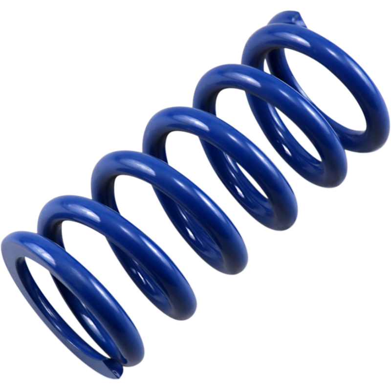 Race Tech Rear Shock Springs