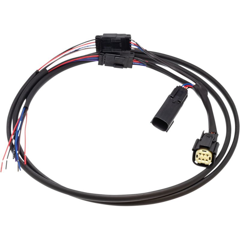 Rear Wiring Harness (10-13)