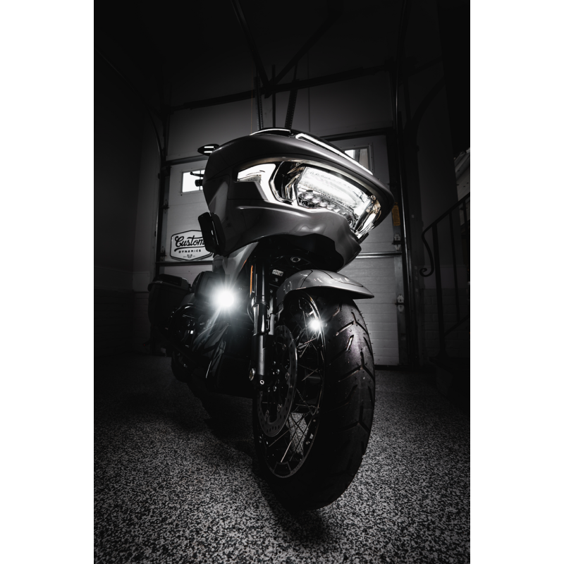 ProBeam LED Halo Fog Light (Black/Clear)