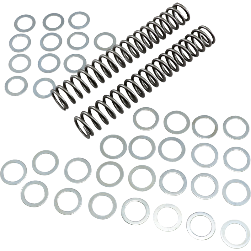 Race Tech Fork Spring 0405-0142