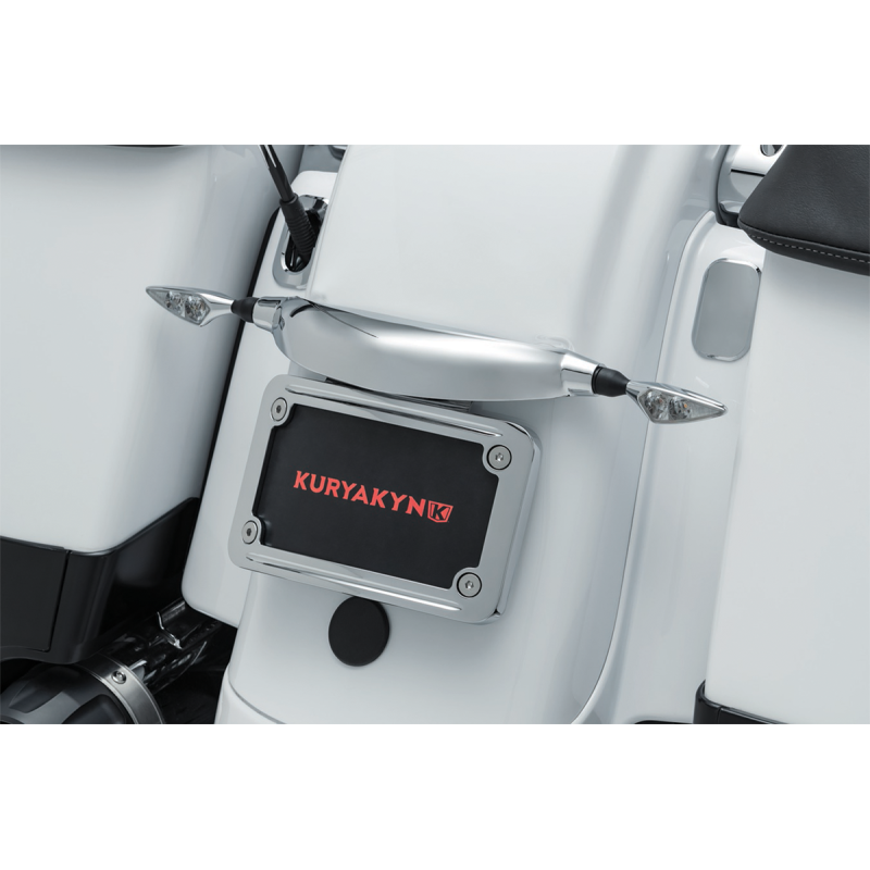 Custom Rear Turn Signal Mount Chrome