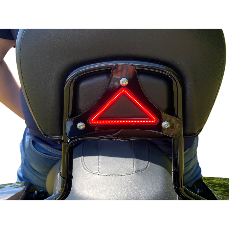 Custom Dynamics Run/Brake Backrest LED Lights