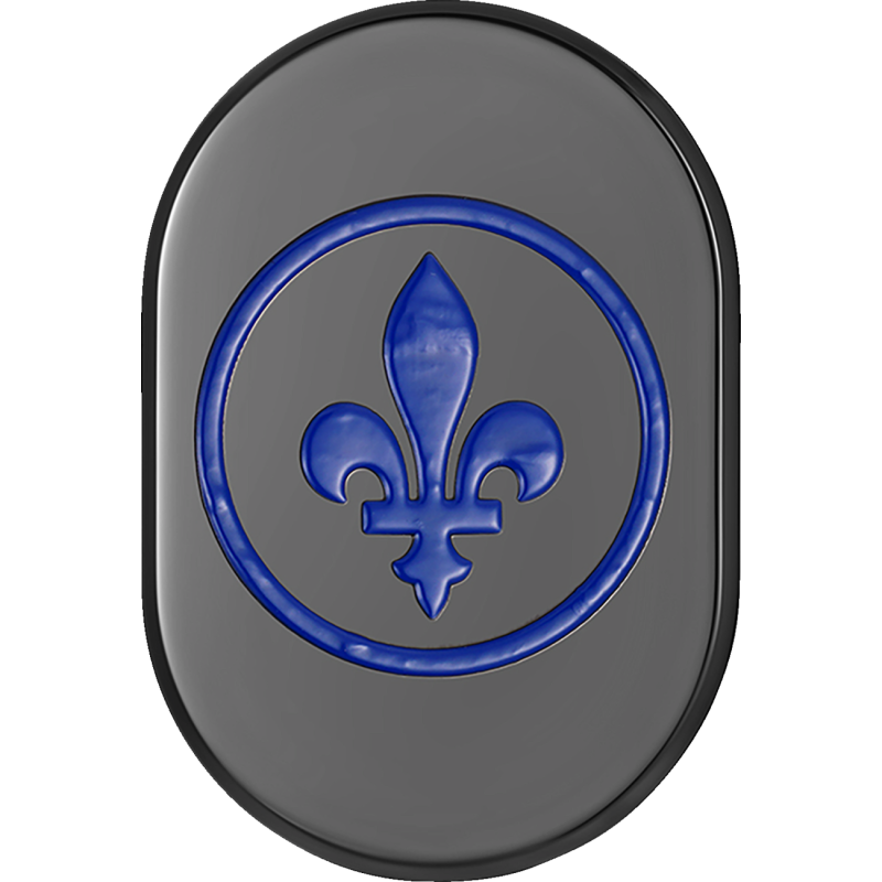 Antenna Cover Right Rear Black Fleur-de-lis