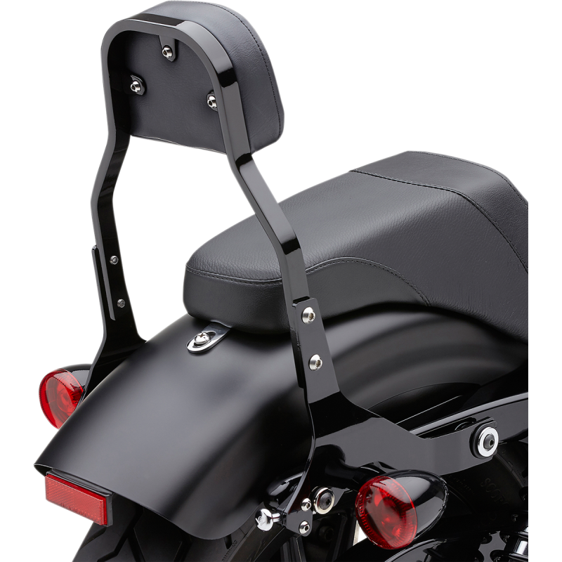 Cobra Detachable Backrest Kits