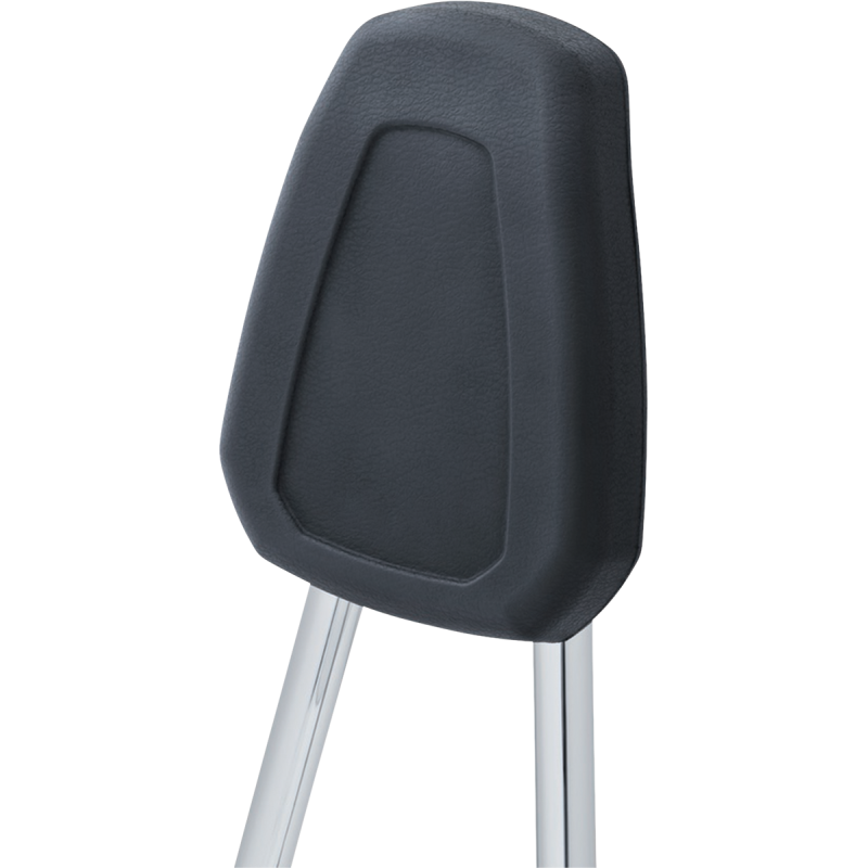 Round Sissy Bar with Pad for Dyna