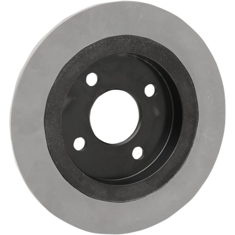 Rear Brake Rotor 1710-3066