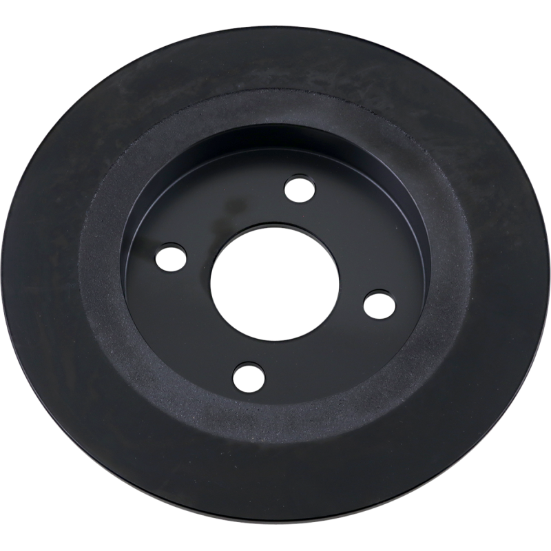 Rear Brake Rotor 1710-3066