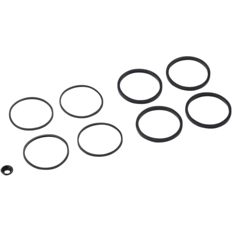 Caliper Seals Only Kit 1702-0464
