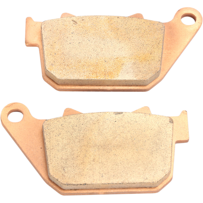 Premium Sintered Rear Brake Pad - 1721-2481