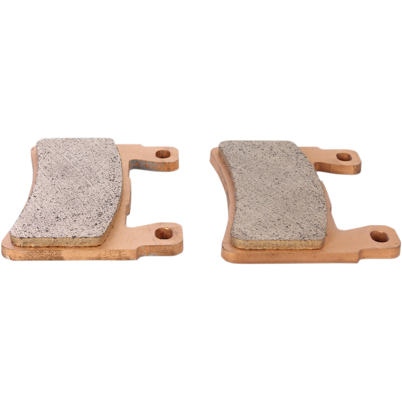 DP Sintered Front Brake Pad 1721-2258