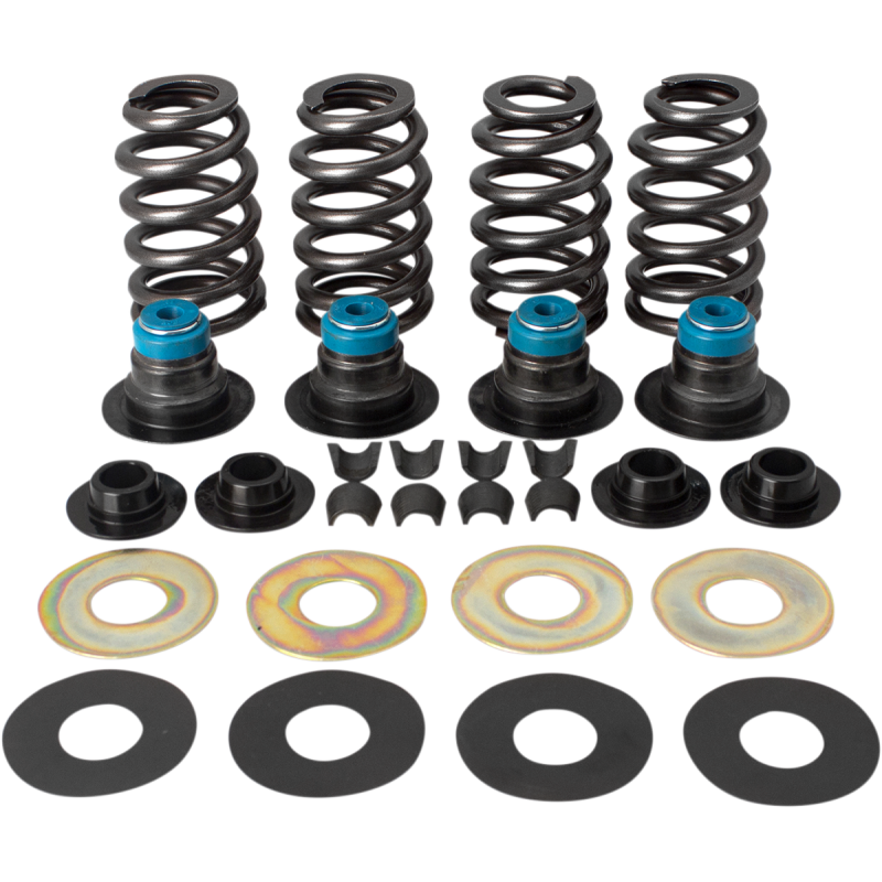 0.585" Valve Spring Kit