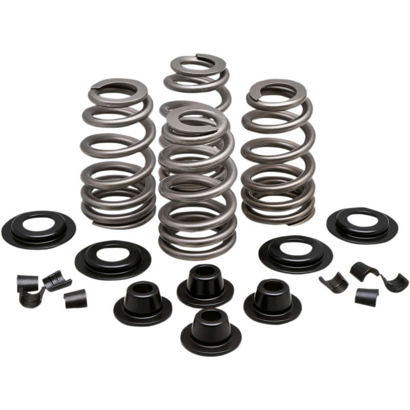 KPMI Valve Spring Kit 0926-2999