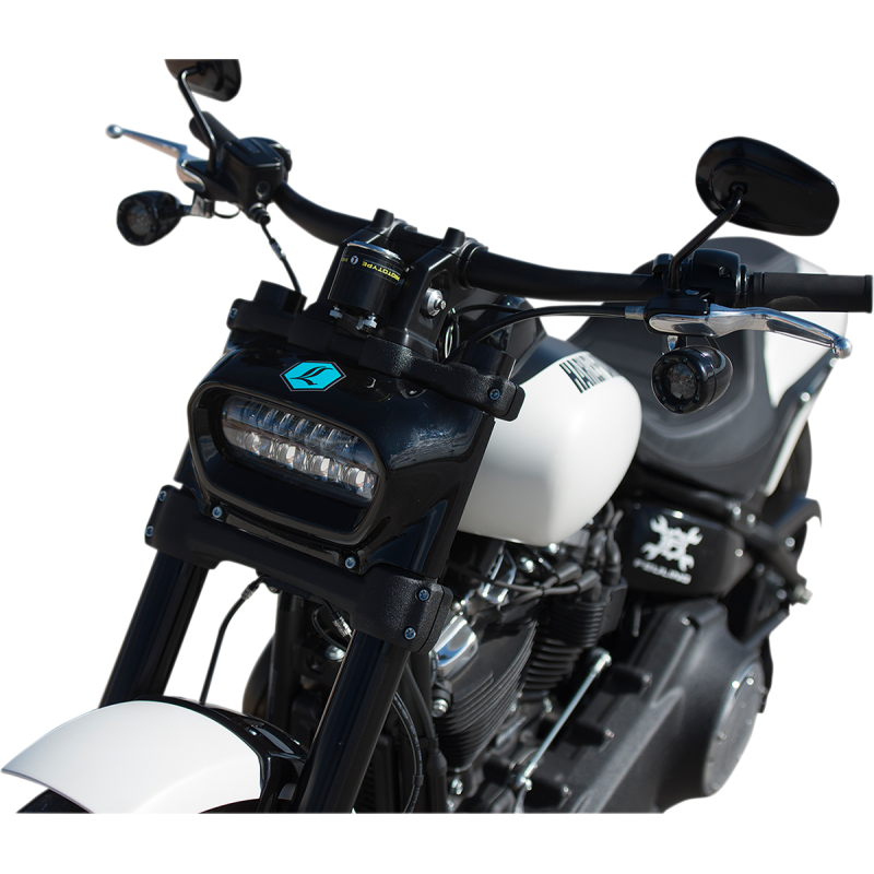 Legend AXEO Front Suspension for Softail (Inverted Forks)