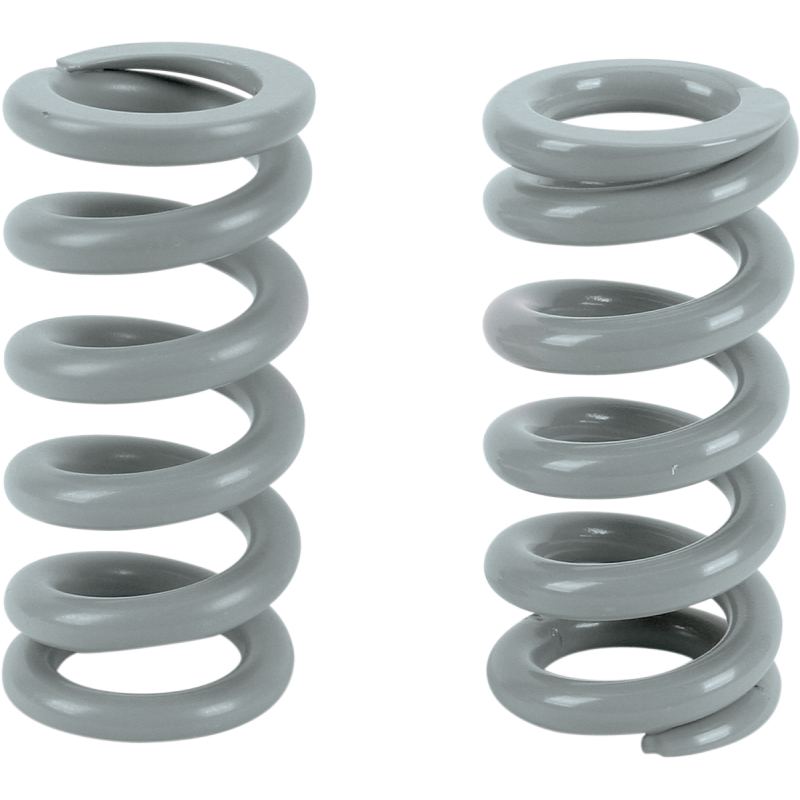 Big Shock Springs Big Gray