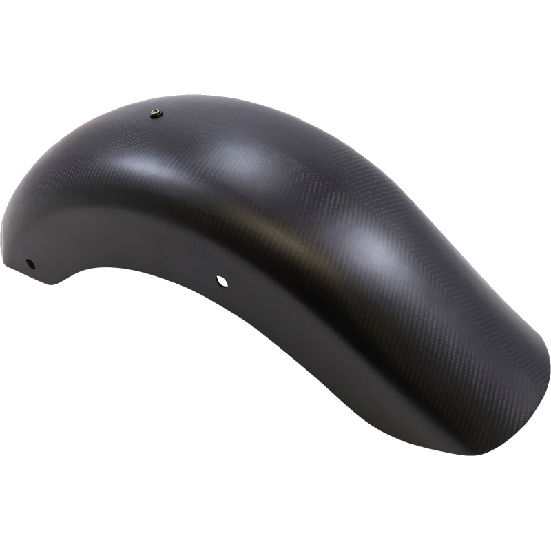 Carbon Rear Fender, Matte Finish