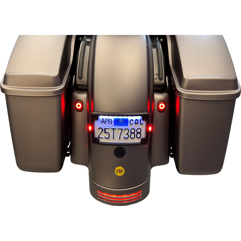 Curved Elypse 3-1 LED License Plate Kit - Black