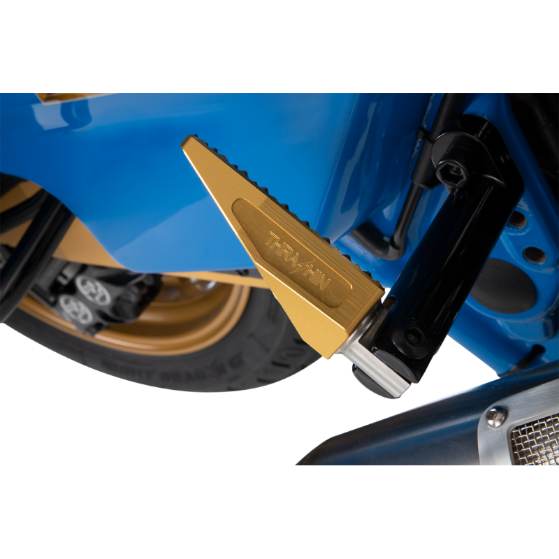 Passenger Footpeg Mounts (Gloss Black)