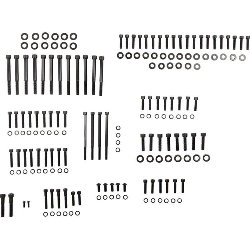 Engine Bolt Kit - Polished black stainless steel