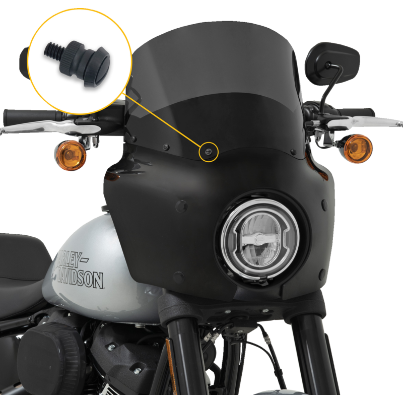 Windshield screw set