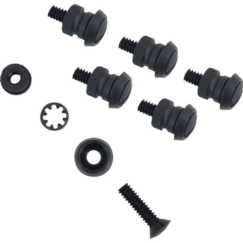 Windshield screw set