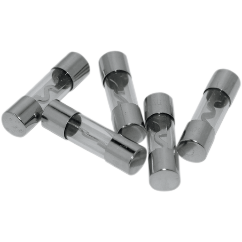 40A AGU Fuse