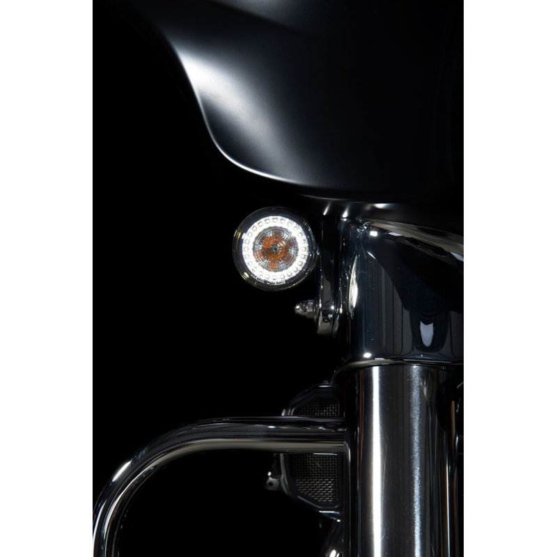 ProBEAM Dynamic Ringz Insert (2020-1602)