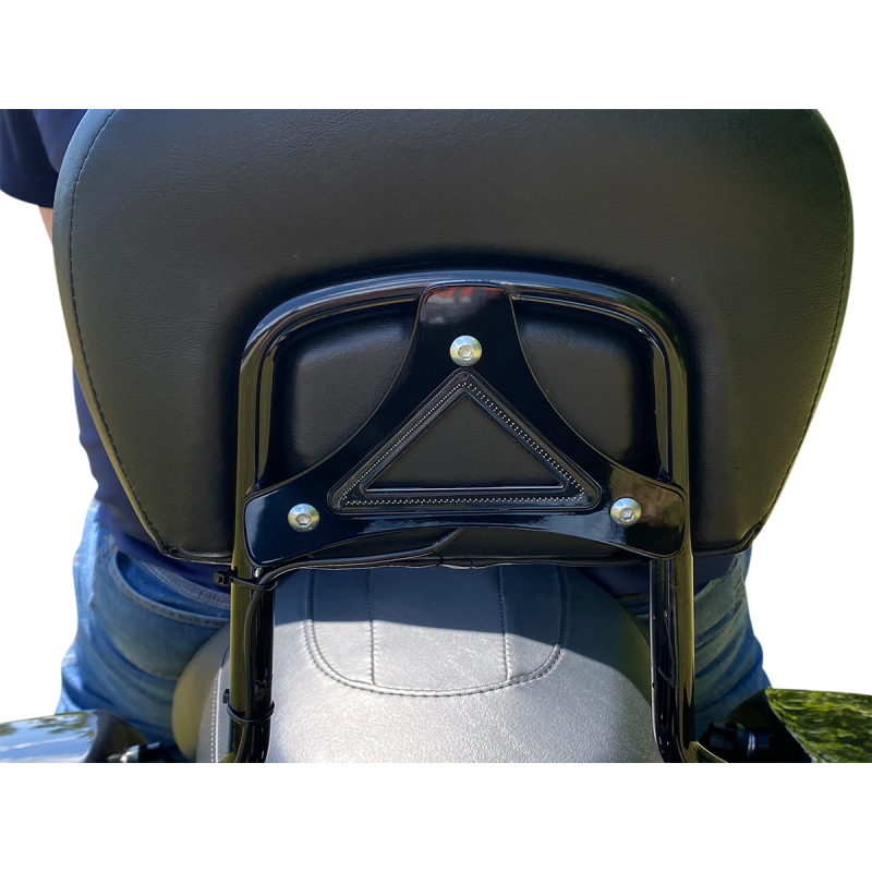 Custom Dynamics Run/Brake Backrest LED Lights