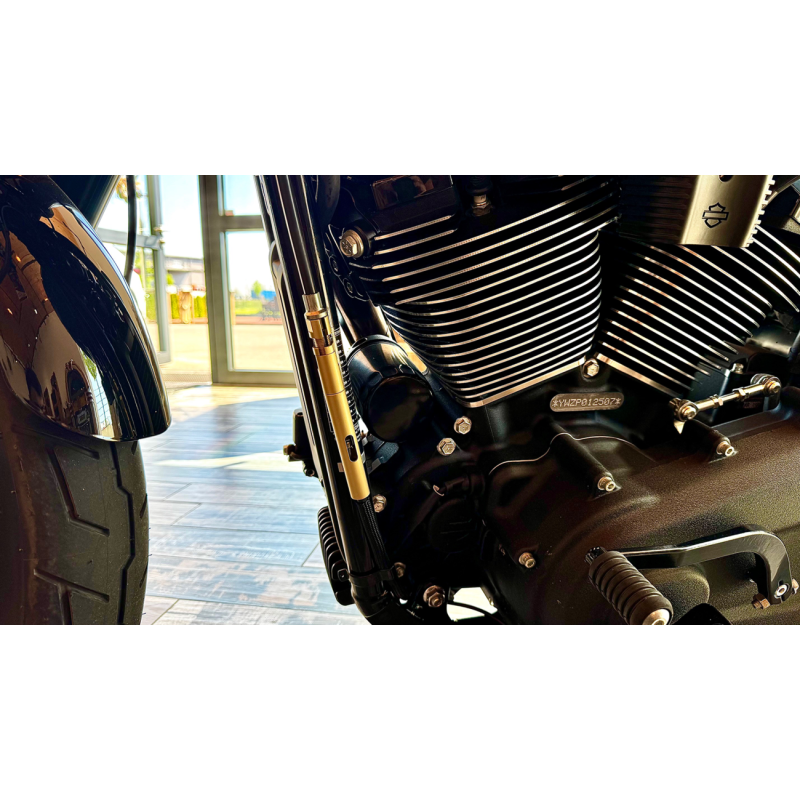 Müller Motorcycle AG Clutch Cable Control