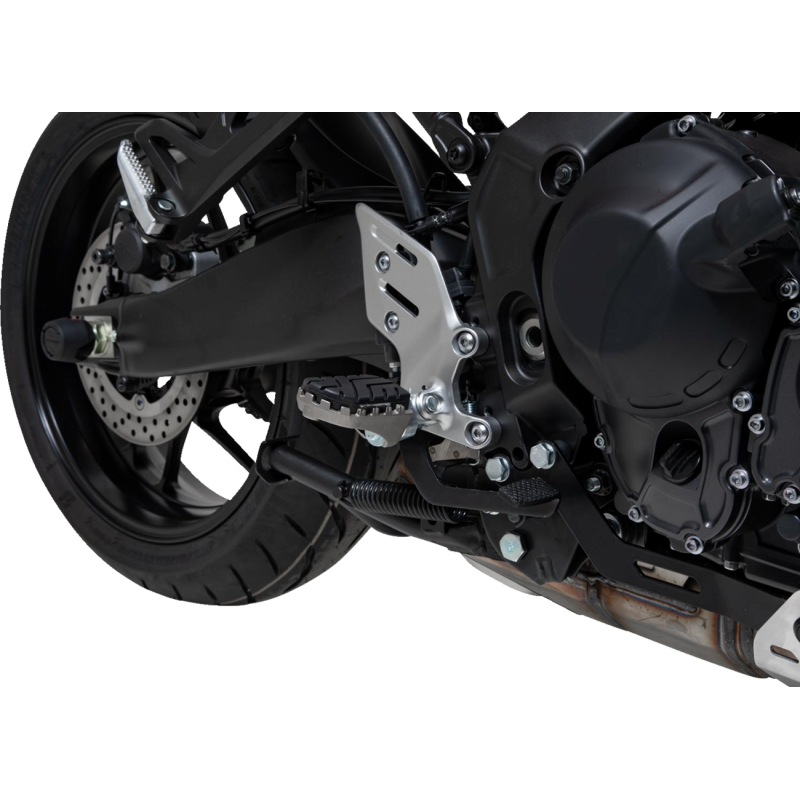 ION Footrest Kit 1620-2319